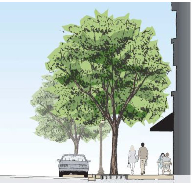 Figure 65-1: Street Tree