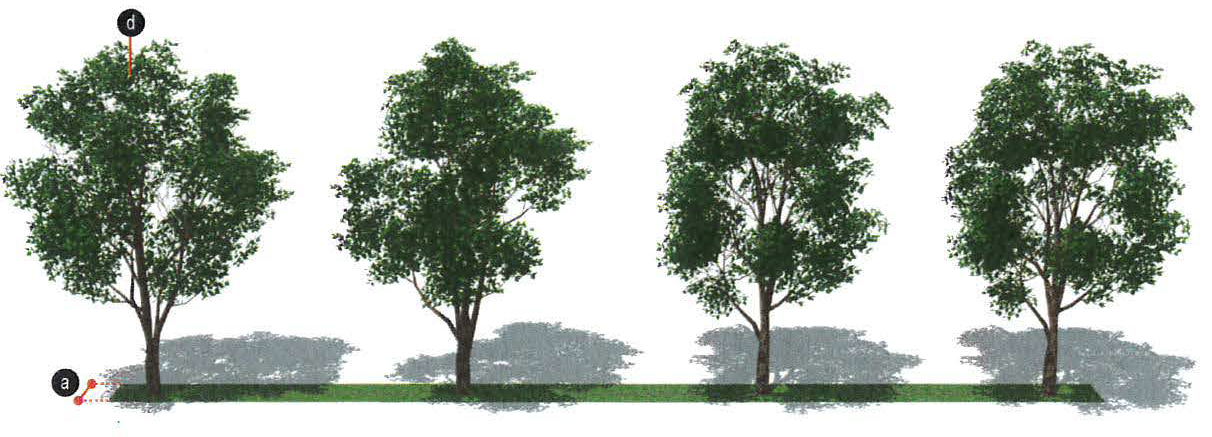 Figure 10: Transition Zone A
