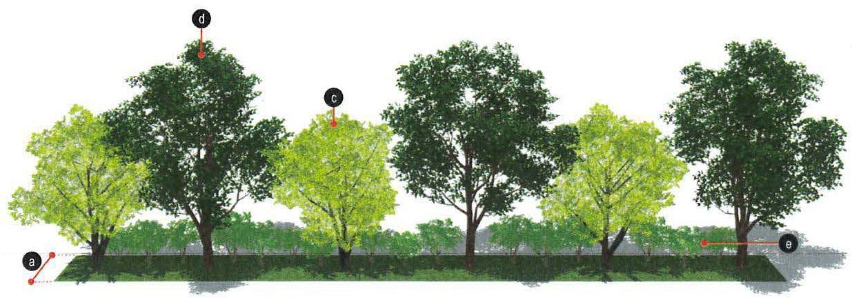 Figure 11: Transition Zone B