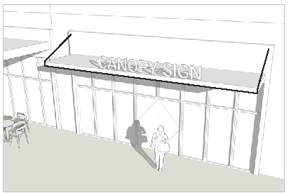 FIGURE 9.4 Canopy example.