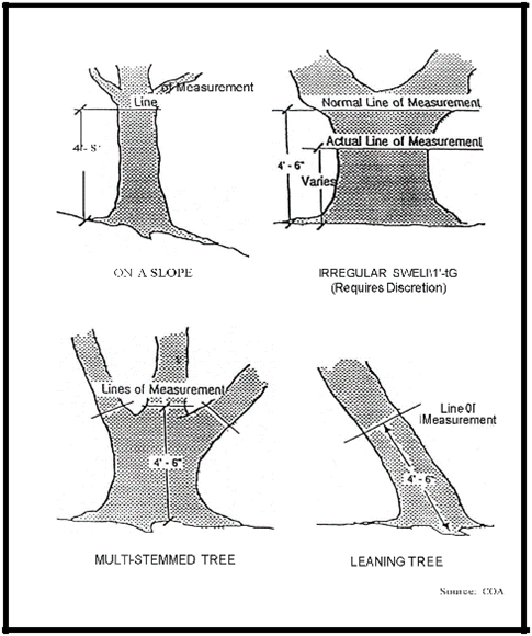 Illustration of Diameter Measurement Methods;