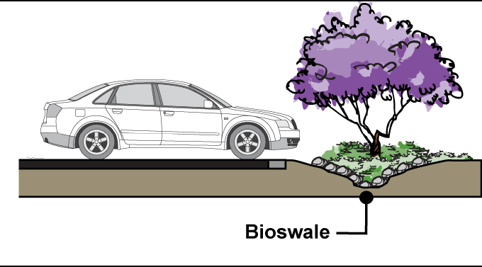 Figure 9-4. Bioswale