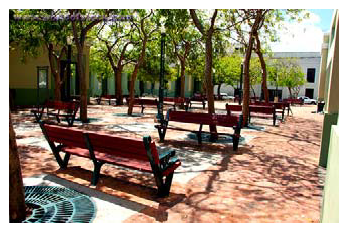 Figure 11: Example of Canopy Tress for Shade, and Benches for People to Gather