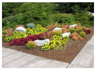 Figure 12: Example of Flowering Shrubs and Trees and some Xeriscape Plants