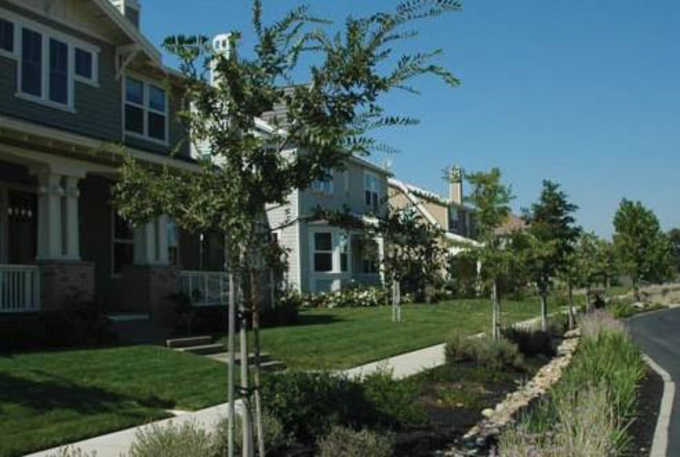 The front yards of these houses form a continuous common yard