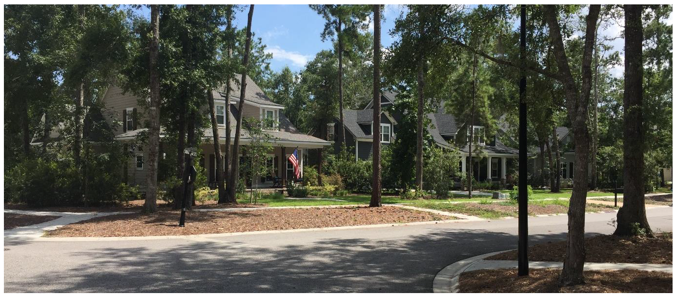 Example: tree retention provides a natural amenity