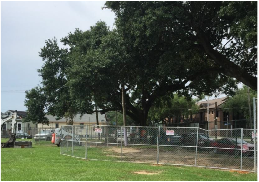 Exhibit 633b: Fencing for Tree Protection Zone