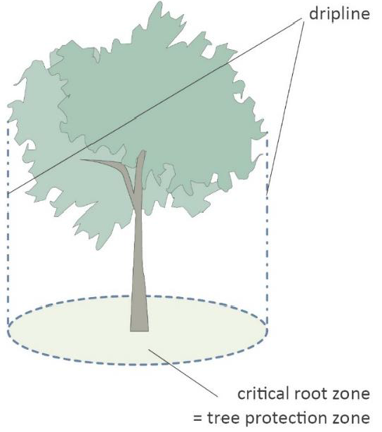 Exhibit 633c: Critical Root Zone