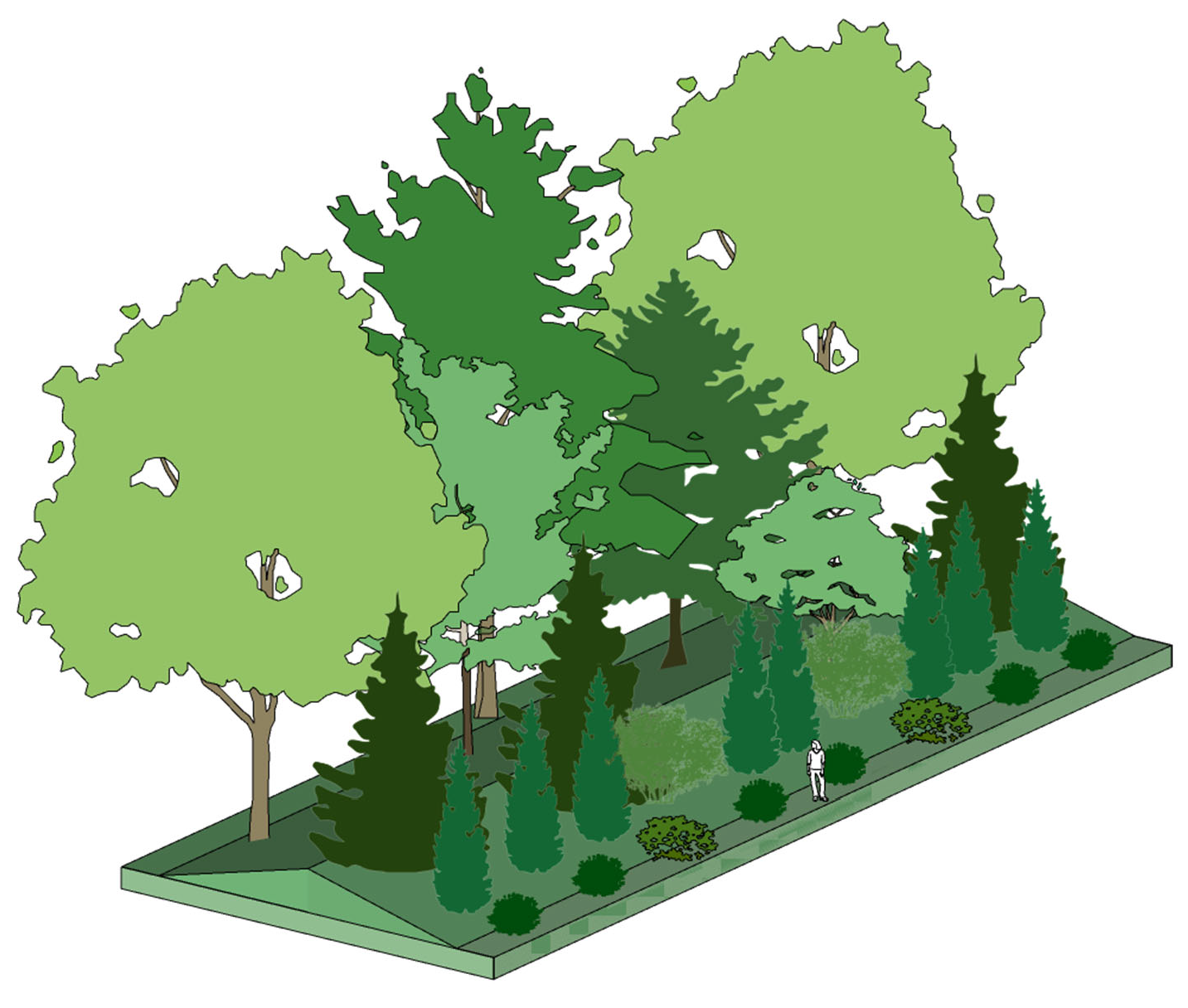 Exhibit 630c: 40-foot Buffer Option for RM District Adjacent to RR, R-15, or RMH