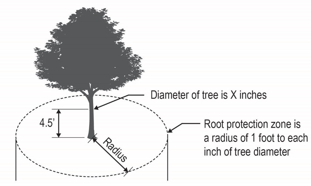 Figure 422-9.2-1 Root Protection Zone
