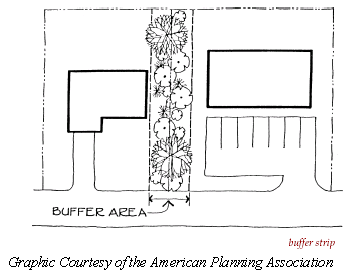 Transitional Yard