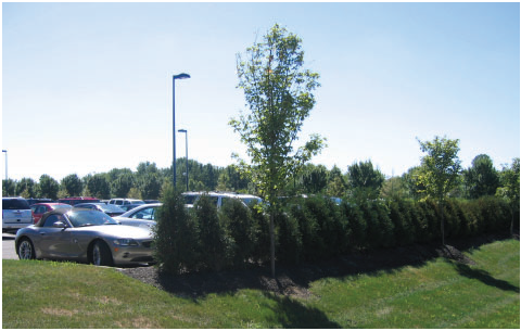 VEHICULAR PERIMETER EXAMPLE