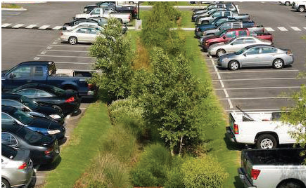 PARKING LOT PLANTING EXAMPLE