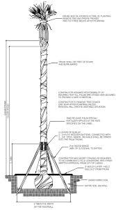 Figure 10-17: Preferred Palm Planting Detail