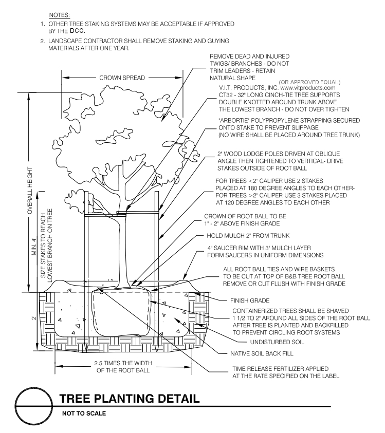 Figure 10-18: Preferred Tree Planting Detail
