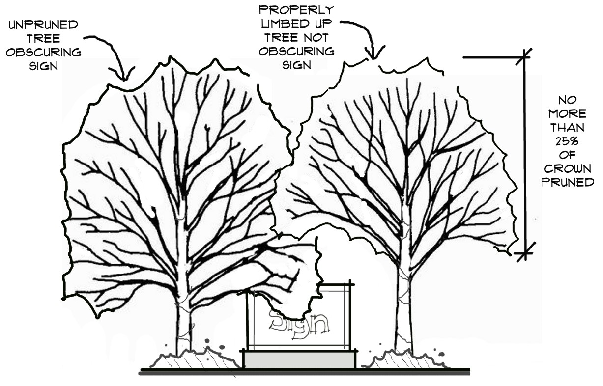 Figure 10-21: Correct Tree Pruning
