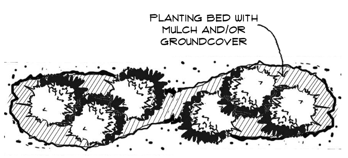 Figure 10-6: Continuous Mulch Bed