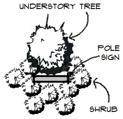 Figure 10-7: Landscape at Base of US-19 Sign