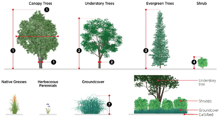 Figure 6.8: Planting Types