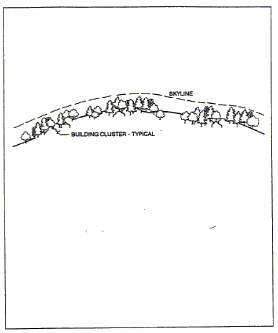 Figure 15-6. Skyline Planting