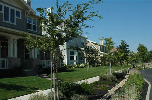 The front yards of these houses form a continuous common yard.