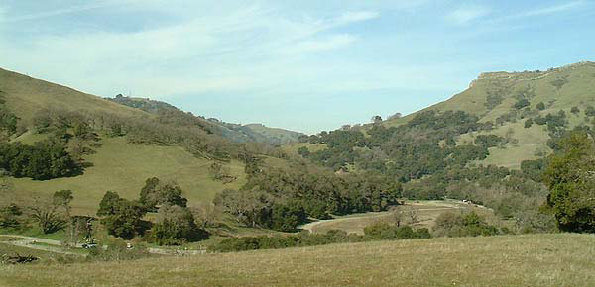 Figure 40 California Oak Woodland Hills
