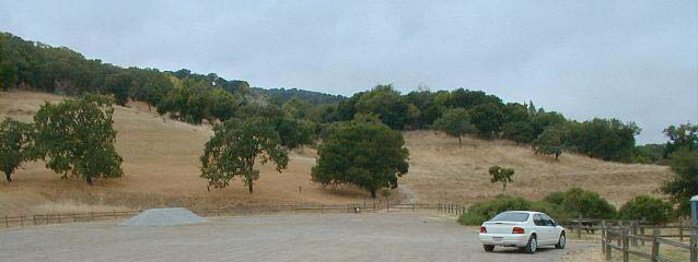 Figure 44 Oak Woodland