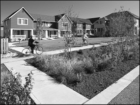 Figure 14.34.4: A Bioswale with Native Vegetation