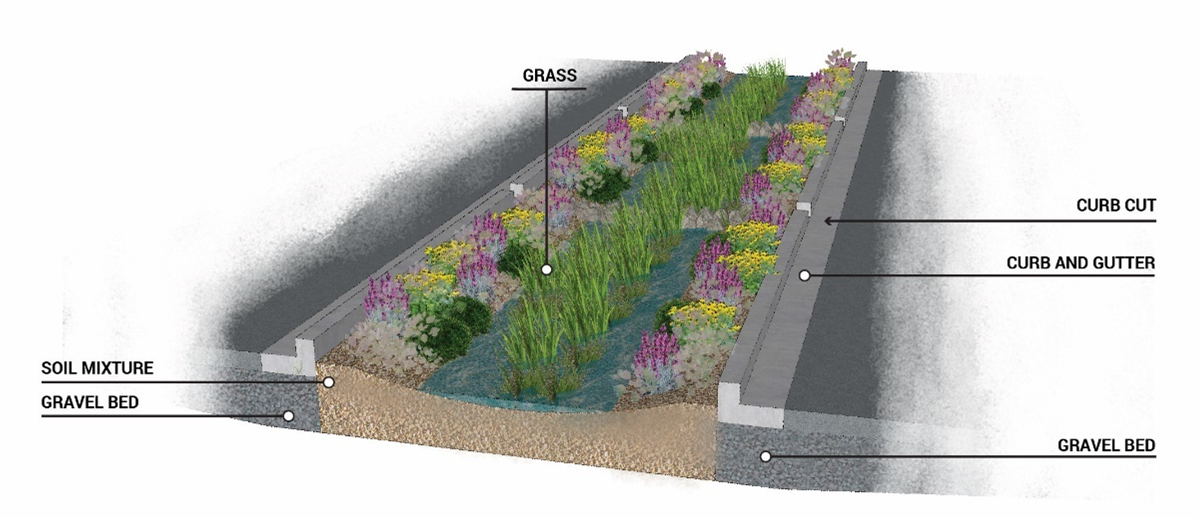 Figure 18.03.8.9-3: Illustration of Rain Garden