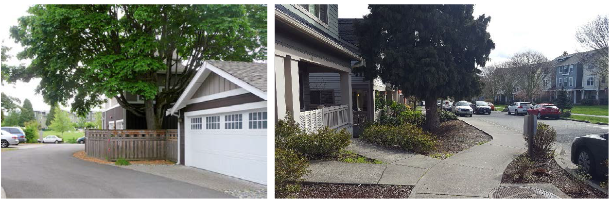 Figure 18.206.050-H Example of integrating tree preservation into a duplex/triplex housing development.