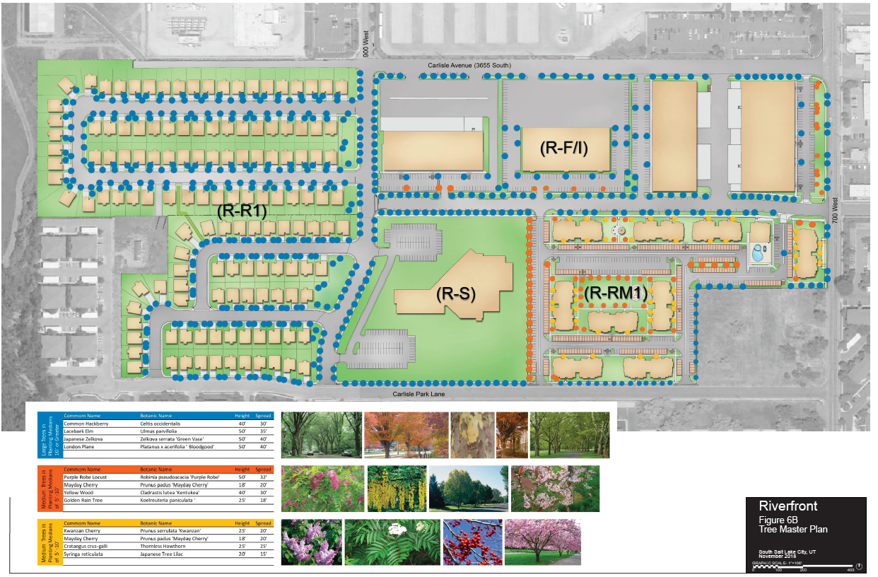 Figure 6B: Tree Master Plan