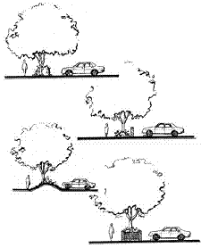 Parking lots can be screened with berms, walls, and landscaping.