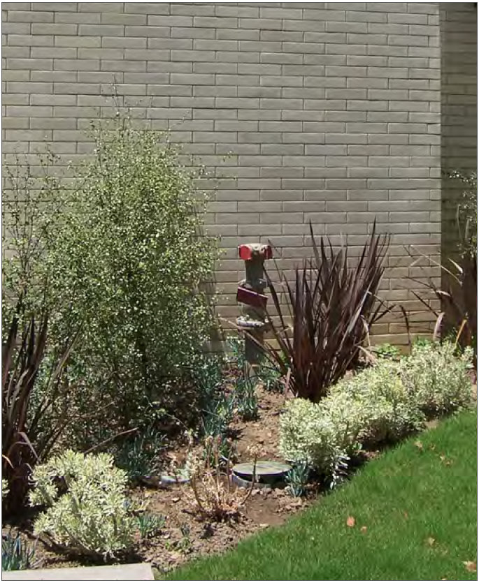 A back flow preventer that abuts the building and is screened from the view of the sidewalk and street by shrubs.