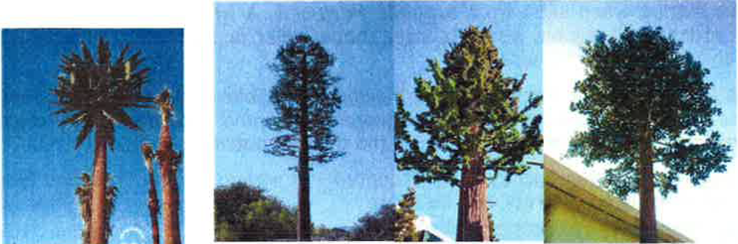 Examples of Faux Tree-Wireless Communication Facilities