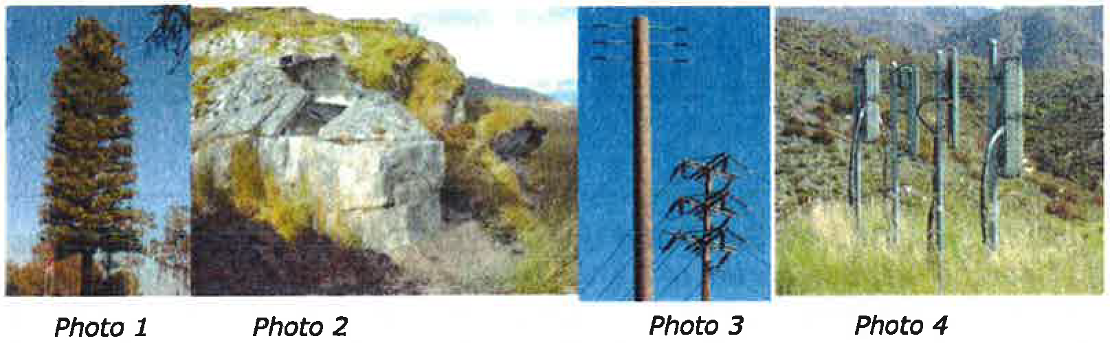 Examples of Stealth Wireless Communication Facilities