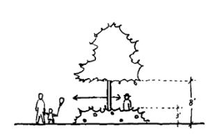 Figure 29. Parking Lot Planting Buffers Shall Emphasize the 3:8 Rule for Visibility and Safety