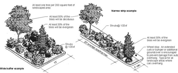 Figure 2. Type B Landscaping Standards