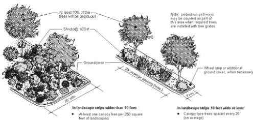 Figure 3. Type C Landscaping Standards