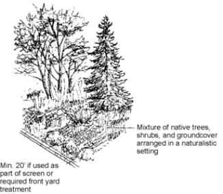 Figure 4. Type D Landscaping Standards