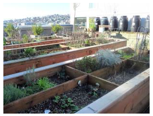 Figure 15.520.030(D)(2). Community garden example.