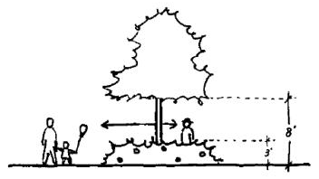 Figure 15.520.070(B)(1)(c). Parking lot planting buffers shall emphasize the 3:8 rule for visibility and safety.