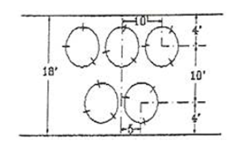 Figure No. 1, Standard Screening Double Staggered Row of Evergreen Trees
