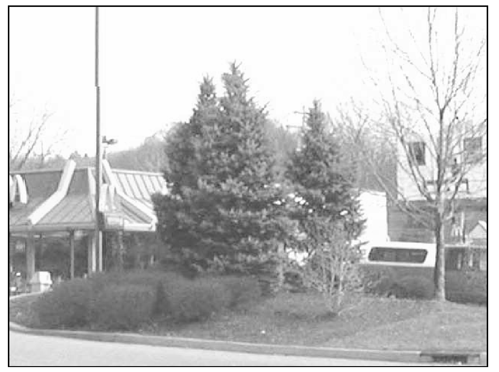 Figure 1423-03 Example of Different Landscaping Materials