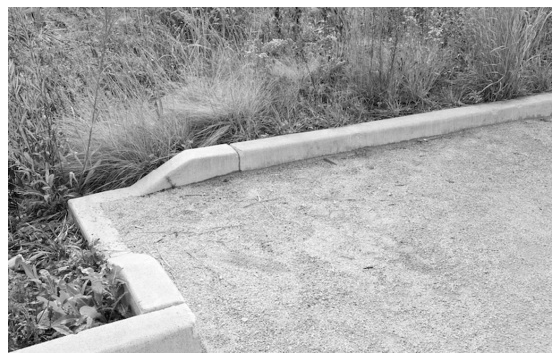 Figure I15: Interior Surface Parking Lot Landscaping Example.
