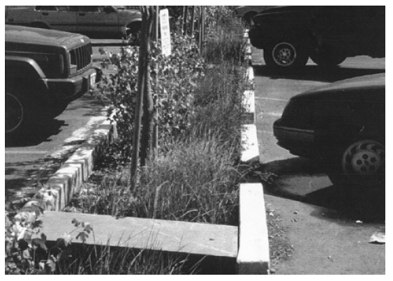 Figure I16: Interior Surface Parking Lot Landscaping Example.
